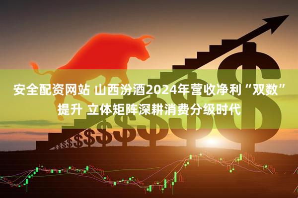 安全配资网站 山西汾酒2024年营收净利“双数”提升 立体矩阵深耕消费分级时代