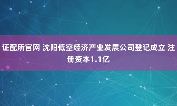 证配所官网 沈阳低空经济产业发展公司登记成立 注册资本1.1亿